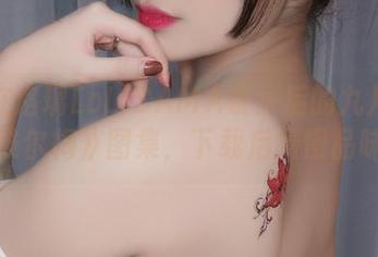 潜藏在洛璃LoLiSAMA镜头后的九月舰长《维尔梅》图集，下载后慢慢品味。
